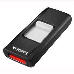 图片 晟碟U盘 SANDISK